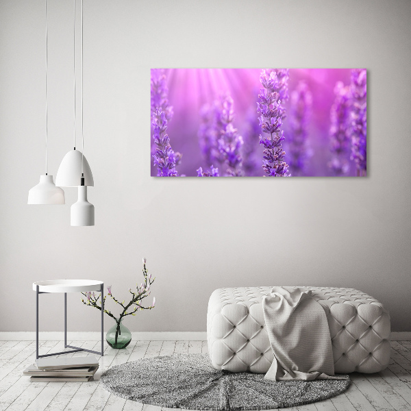 Foto en lienzo con acabado profesional horizontal Lavanda