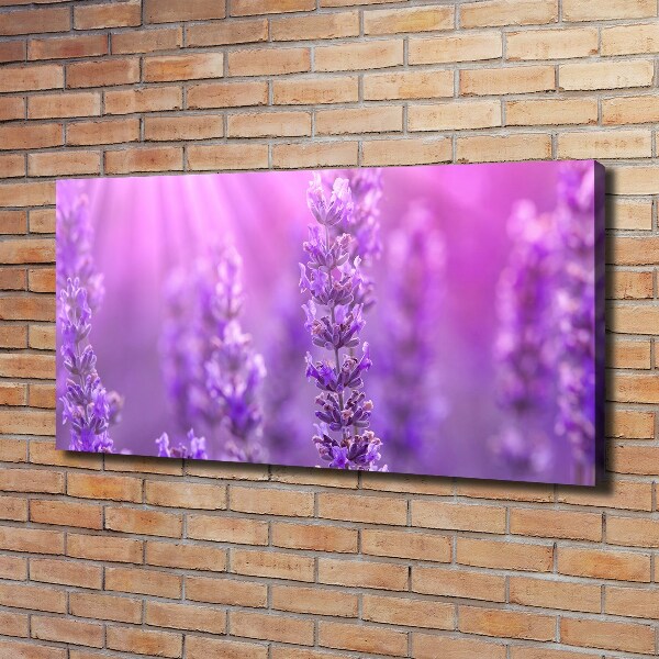 Foto en lienzo con acabado profesional horizontal Lavanda