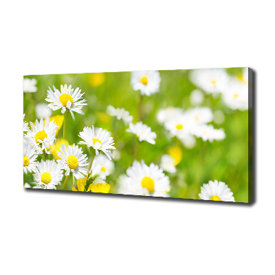 Fotocuadro en lienzo de alta calidad horizontal margaritas