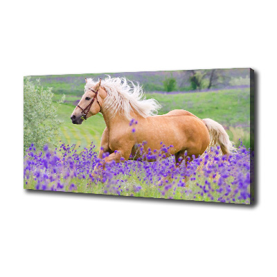 Foto en lienzo con acabado profesional horizontal Un caballo en un campo de lavanda.