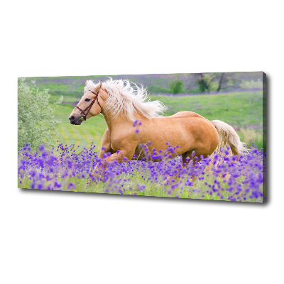 Foto en lienzo con acabado profesional horizontal Un caballo en un campo de lavanda.