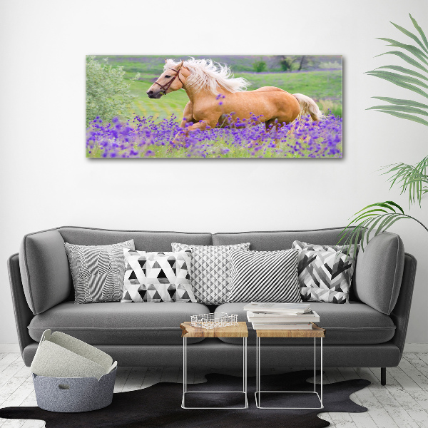 Foto en lienzo con acabado profesional horizontal Un caballo en un campo de lavanda.