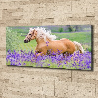 Foto en lienzo con acabado profesional horizontal Un caballo en un campo de lavanda.