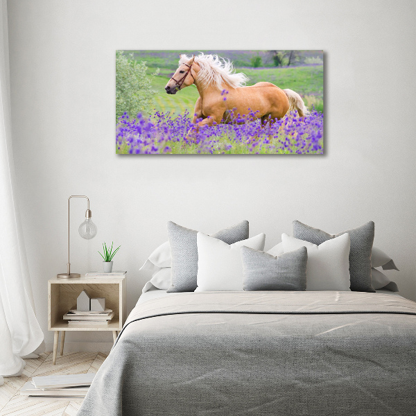 Foto en lienzo con acabado profesional horizontal Un caballo en un campo de lavanda.