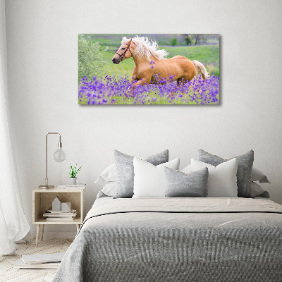 Foto en lienzo con acabado profesional horizontal Un caballo en un campo de lavanda.