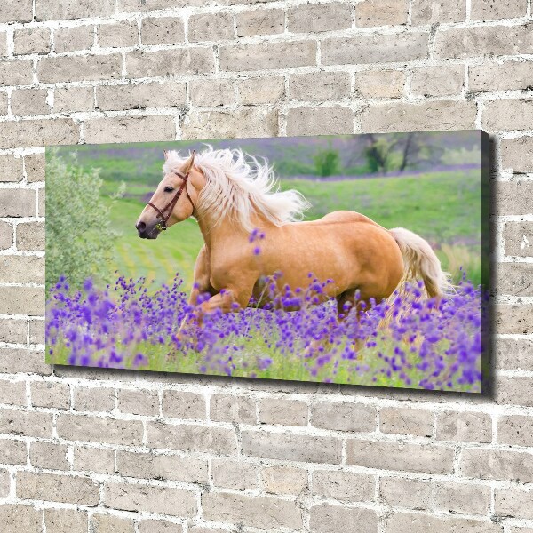 Foto en lienzo con acabado profesional horizontal Un caballo en un campo de lavanda.
