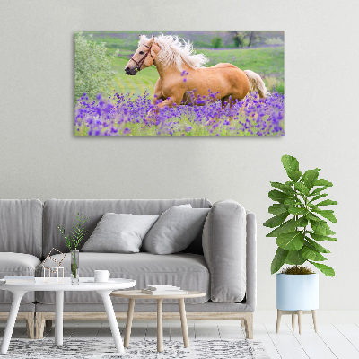 Foto en lienzo con acabado profesional horizontal Un caballo en un campo de lavanda.