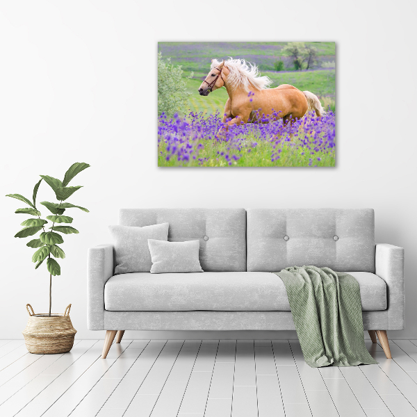 Foto en lienzo con acabado profesional horizontal Un caballo en un campo de lavanda.