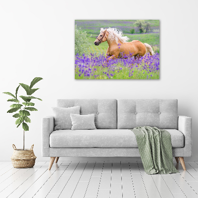 Foto en lienzo con acabado profesional horizontal Un caballo en un campo de lavanda.