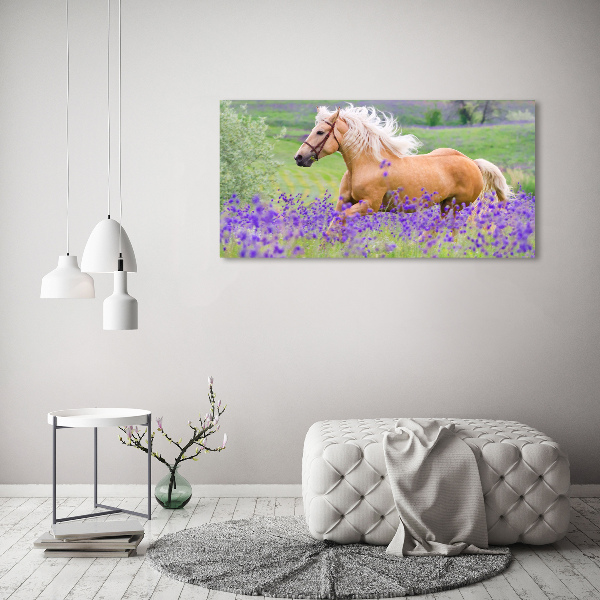 Foto en lienzo con acabado profesional horizontal Un caballo en un campo de lavanda.