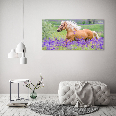 Foto en lienzo con acabado profesional horizontal Un caballo en un campo de lavanda.