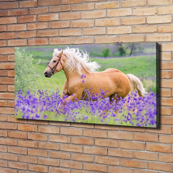 Foto en lienzo con acabado profesional horizontal Un caballo en un campo de lavanda.