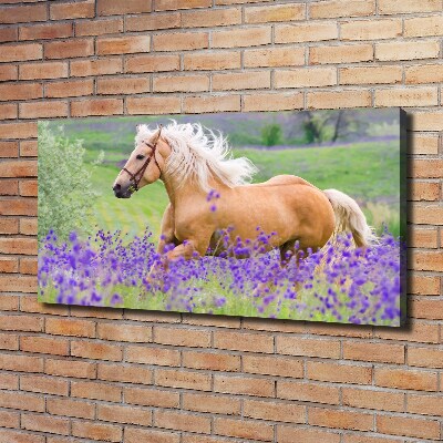 Foto en lienzo con acabado profesional horizontal Un caballo en un campo de lavanda.