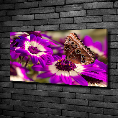 Foto en lienzo con acabado profesional horizontal Mariposa en una flor