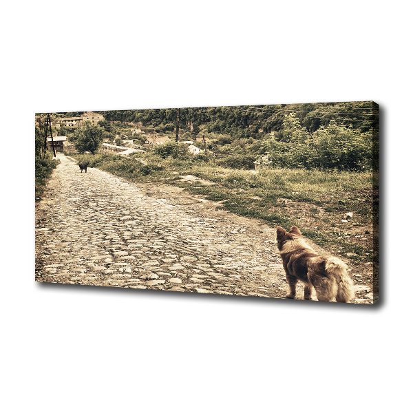 Fotocuadro en lienzo de alta calidad horizontal Dos perros en una colina