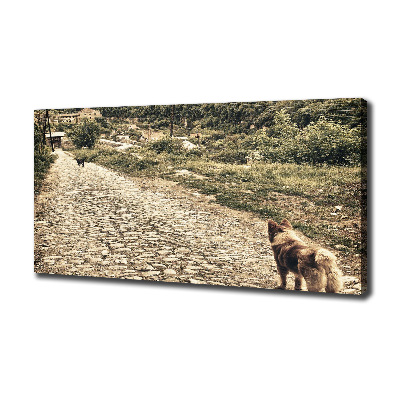 Fotocuadro en lienzo de alta calidad horizontal Dos perros en una colina