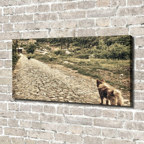 Fotocuadro en lienzo de alta calidad horizontal Dos perros en una colina