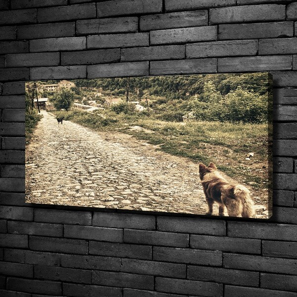 Fotocuadro en lienzo de alta calidad horizontal Dos perros en una colina