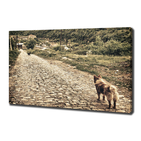Fotocuadro en lienzo de alta calidad horizontal Dos perros en una colina