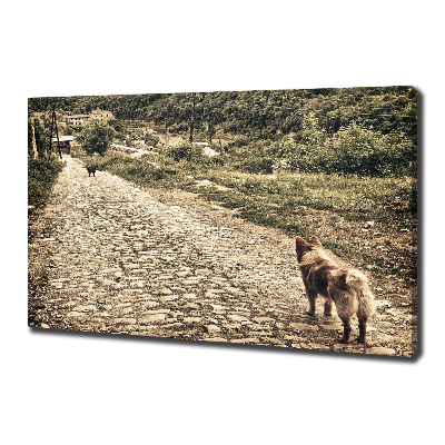Fotocuadro en lienzo de alta calidad horizontal Dos perros en una colina