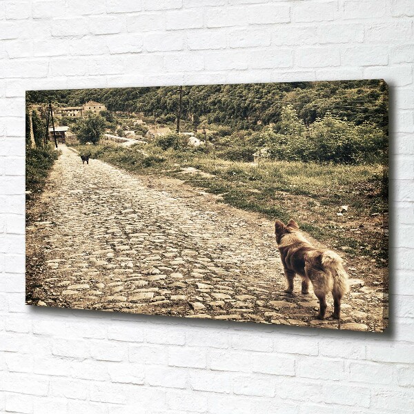 Fotocuadro en lienzo de alta calidad horizontal Dos perros en una colina