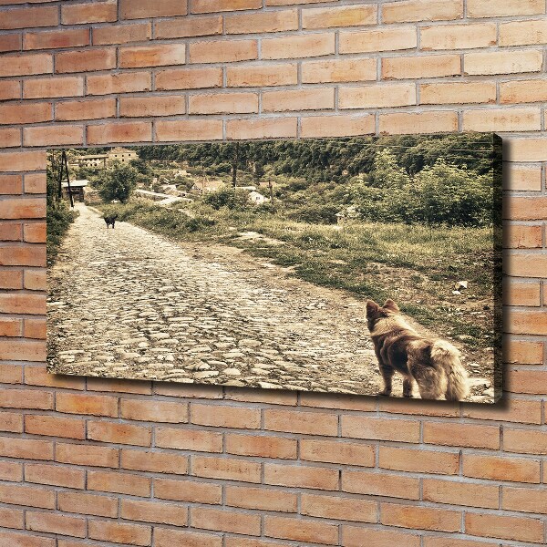 Fotocuadro en lienzo de alta calidad horizontal Dos perros en una colina