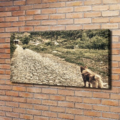 Fotocuadro en lienzo de alta calidad horizontal Dos perros en una colina
