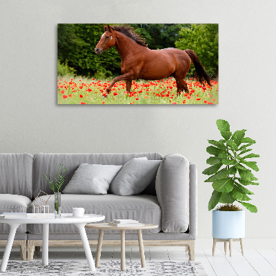 Cuadro canvas con impresión uv duradera horizontal Un caballo en un campo de amapolas.