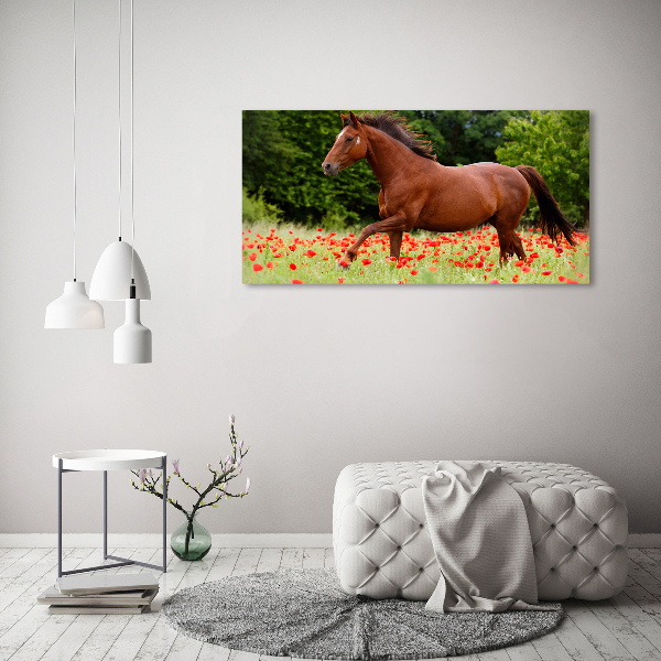 Cuadro canvas con impresión uv duradera horizontal Un caballo en un campo de amapolas.