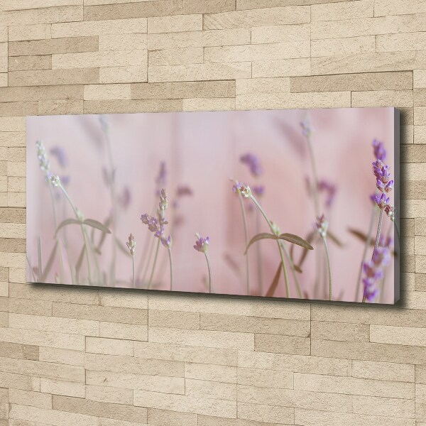 Foto en lienzo con acabado profesional horizontal Lavanda