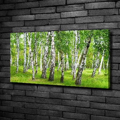 Fotocuadro en lienzo de alta calidad horizontal bosque de abedules