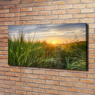 Cuadro canvas moderno de gran formato horizontal Campo de trigo