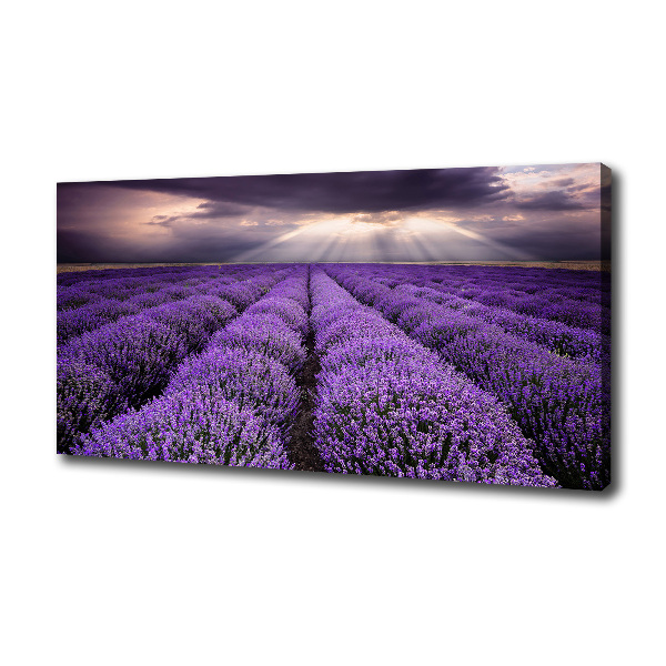 Fotocuadro en lienzo de alta calidad horizontal campo de lavanda