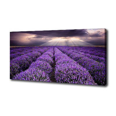 Fotocuadro en lienzo de alta calidad horizontal campo de lavanda