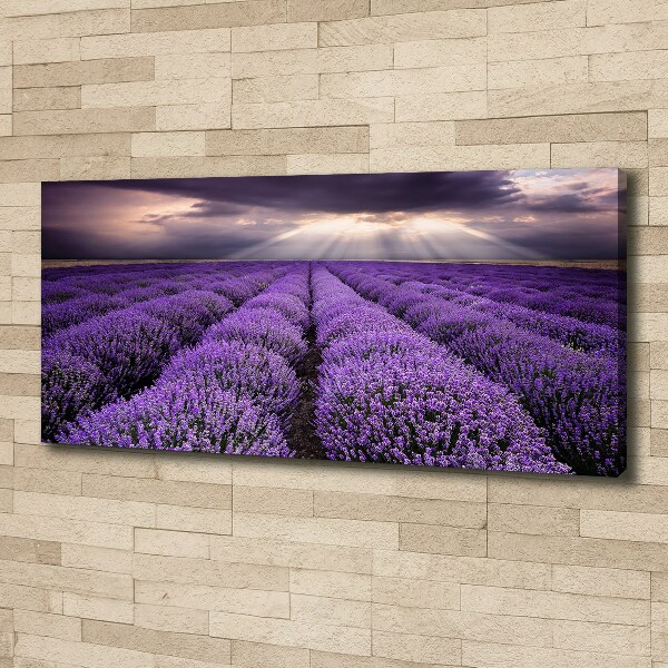 Fotocuadro en lienzo de alta calidad horizontal campo de lavanda
