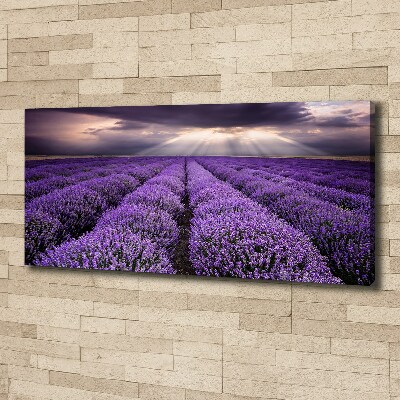 Fotocuadro en lienzo de alta calidad horizontal campo de lavanda