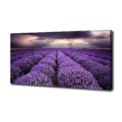Fotocuadro en lienzo de alta calidad horizontal campo de lavanda