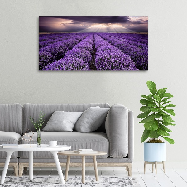Fotocuadro en lienzo de alta calidad horizontal campo de lavanda