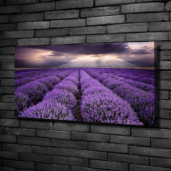 Fotocuadro en lienzo de alta calidad horizontal campo de lavanda