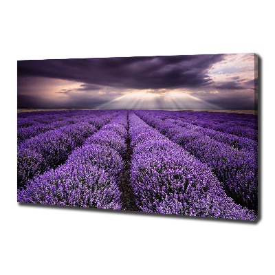 Fotocuadro en lienzo de alta calidad horizontal campo de lavanda