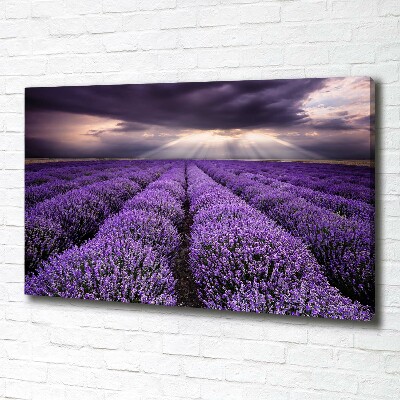 Fotocuadro en lienzo de alta calidad horizontal campo de lavanda