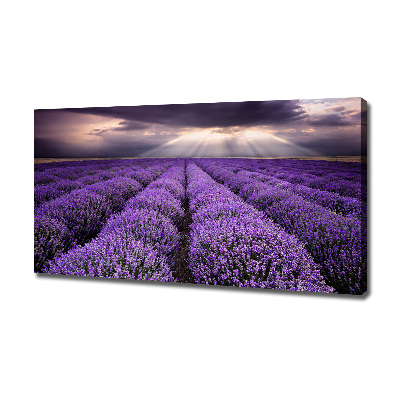Fotocuadro en lienzo de alta calidad horizontal campo de lavanda