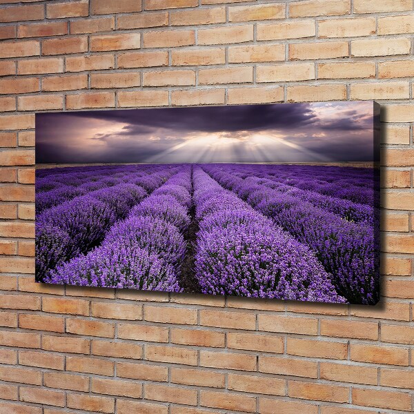 Fotocuadro en lienzo de alta calidad horizontal campo de lavanda