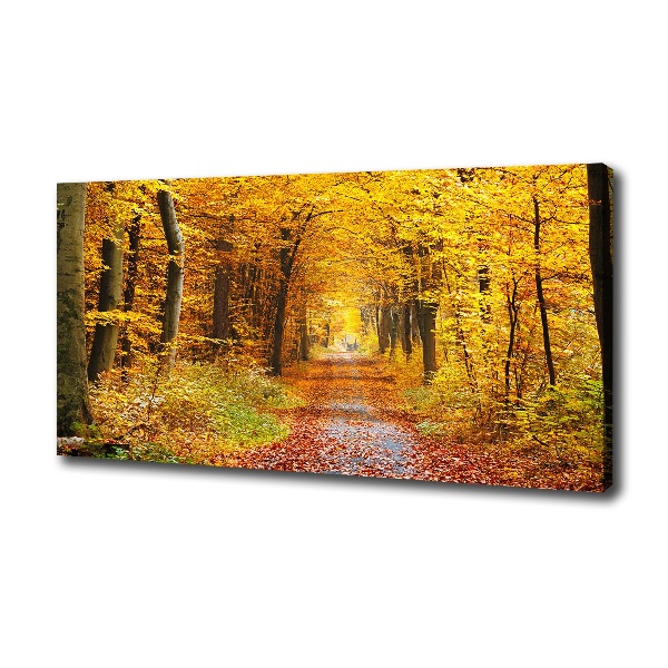 Cuadro canvas con impresión uv duradera horizontal Bosque en otoño