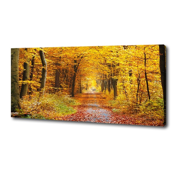 Cuadro canvas con impresión uv duradera horizontal Bosque en otoño