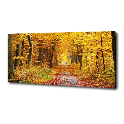 Cuadro canvas con impresión uv duradera horizontal Bosque en otoño