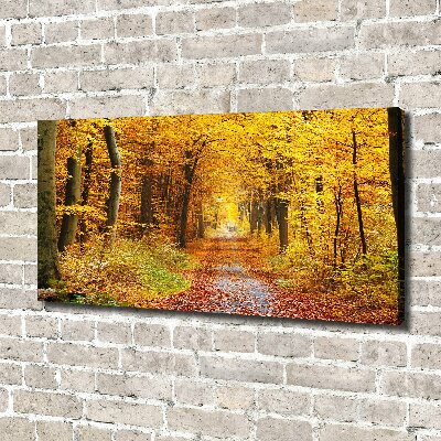Cuadro canvas con impresión uv duradera horizontal Bosque en otoño