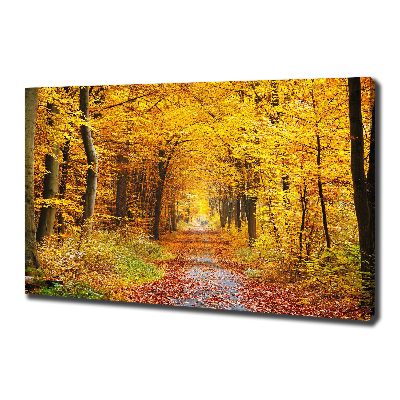 Cuadro canvas con impresión uv duradera horizontal Bosque en otoño