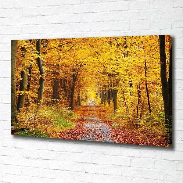 Cuadro canvas con impresión uv duradera horizontal Bosque en otoño