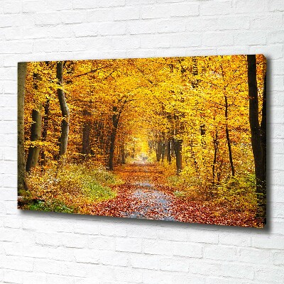 Cuadro canvas con impresión uv duradera horizontal Bosque en otoño